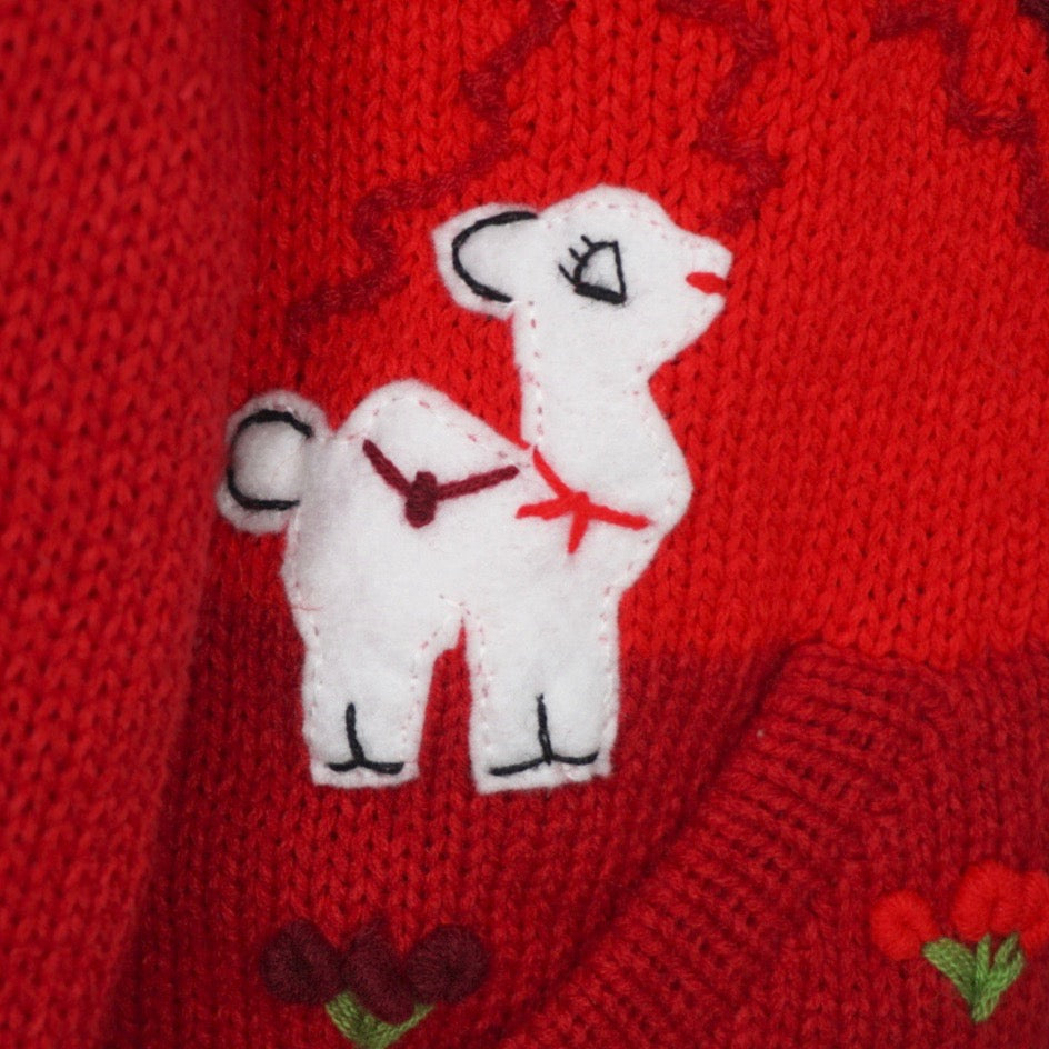 Traditional Peruvian Jumper - Red
