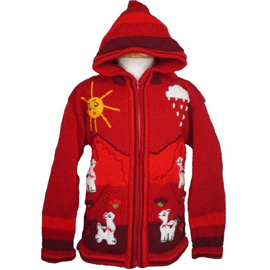 Traditional Peruvian Jumper - Red