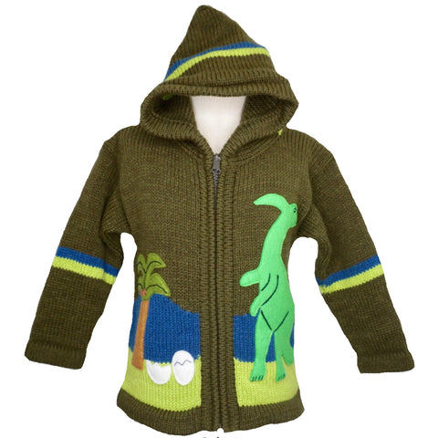 Boy's Dinosaur Jumper in green with a hood and zip front.